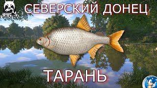 🌟РЕКА СЕВЕРСКИЙ ДОНЕЦ 🌟ТАРАНЬ🌟Русская Рыбалка 4(РР4)🌟