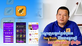 បណ្តាញសង្គមខ្មែរដំបូងគេ Bee Bush រំពឹងមានអ្នកប្រើ ១០០លាននាក់ ៥ឆ្នាំទៀត | កញ្ចក់សេដ្ឋកិច្ច