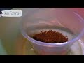 amazing scorpion farming in china venom extraction u0026 food processing video credit noal farm