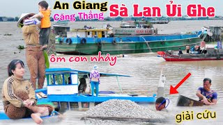 An Giang lại CĂNG Sà Lan ủi chìm ghe ôm con nhảy thoát thân dân mất Tết