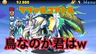 [パズドラ]ケツァルコアトル降臨！壊滅級！初見！とにかく言いにきーわwww