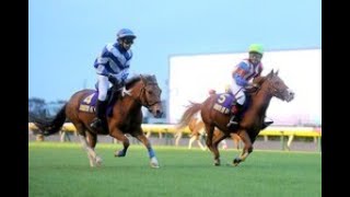 ２年連続で「ジョッキーベイビーズ決勝大会」は開催されず 緊急事態宣言延長で４地区の予選実施困難に |Top News