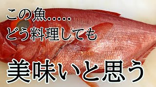 フウセンキンメ（金目）のさばき方～焼霜（炙り）、茶漬け、鍋（切り身）～