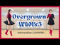 Overgrown (WDM25)/Intermediate 오버그로운 고급라인댄스 