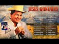 jesus gonzalez 20 grandes exitos musica llaneras cristianas