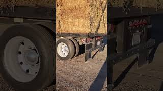 black 389 Pete Lopez trucking lowrider