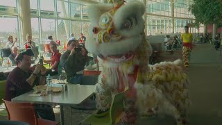 Minnesotans Celebrate Chinese New Year With Lion Dance