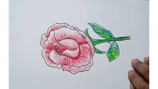 How to Draw a Rose Easy Art Tutorial for Beginners | rose 🌹🌹 drawing
