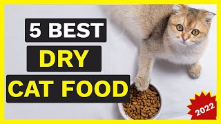 Best Dry Cat Foods | 5 Best Dry Cat Foods 2022 🐱✅