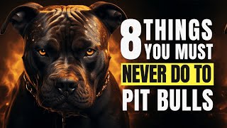 8 things you should never do to your Pitbull