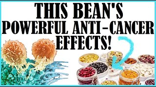 Wow!! This Bean's Powerful Anti-Cancer Effects!