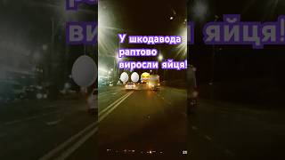 У “шкодавода» раптово виросли яйця!🥚🥚🤭😅#shorts #шортс #авто #водій #car