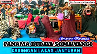 BARONGAN LABAS JANTURAN || PANAMA BUDAYA || Live Somawangi Mandiraja