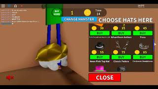 Hamster Simulator Videos 9tubetv -
