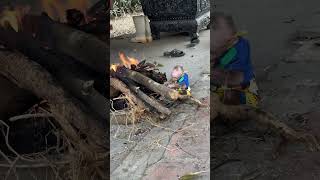 Pily monkeys are smart and know how to make fire