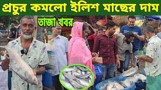 আজকে 02/08/2024 অসম্ভব পরিমানে কমে গেল ইলিশ মাছের দাম! ইলিশের নিউ আপডেট। ilish Fish Prices Today's?