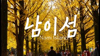 서울 근교 단풍 명소 가볼만한곳 | 남이섬 단풍여행 | 은행나무 | Nami Island