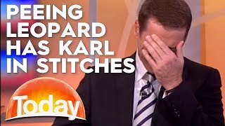 Peeing Leopard Has Karl Losing It | TODAY Show Australia
