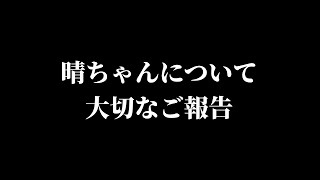 晴ちゃんについて大切なご報告