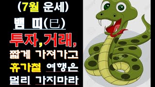 (7월운세)2023년 7월 뱀(巳)띠들은 투자할 때 짧게 가고 적은 수익률에 만족해야 한다/ 휴가철 여행은 가까운데가 유리하다