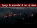 fire in jungles of dehradun