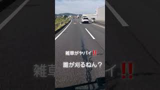 道路の管理誰がやるねん⁉️ #ミステリー #交通違反 #道路#雑草 #shorts