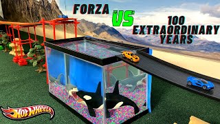 Hot Wheels Shark Tank | Forza !