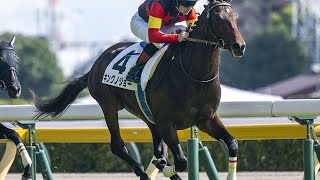 【京成杯2025】1週前追い切りウォッチ｜競馬ニュース｜競馬予想のウマニティ