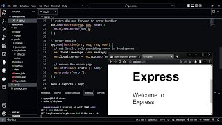 Express.js - Application Generator with the NPX Command.