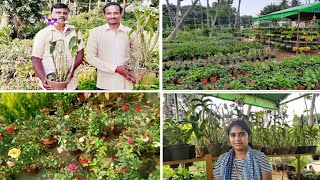 ரூ5 முதல்.மலிவான விலையில்/Plant Price with Names/Biggest,Cheapest Nursery/Nursery Visit/Pot Price