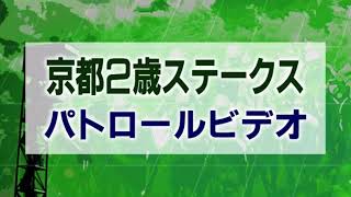 京都2歳ステークス 2020 パトロールビデオ 【ワンダフルタウン】