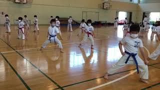 帯の色が変わってやる気満々！　幸区空手クラブ