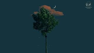 romanticizing studying playlist | part 2
