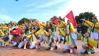 「 Well来夢・平田 」おんさいEXPO 2019【富加会場】