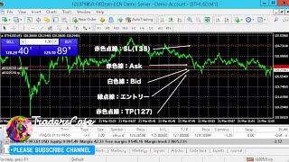 MT4 新規注文でストップロスとテイクプロフィットをセットする方法。