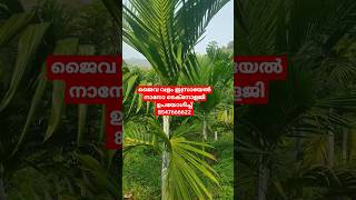 ജൈവ വളം ഇസ്രായേൽ നാനോ ടെക്നോളജി ഉപയോഗിച്ച് 8547666622 #agriculture #trending