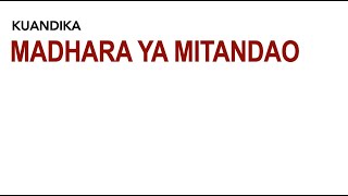 madhara ya mitandao ya kijamii | insha ya mjadala | mfano wa insha ya mjadala