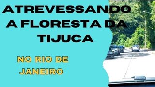 Atravessando a estrada velha do parque Nacional da Tijuca no Rio de Janeiro