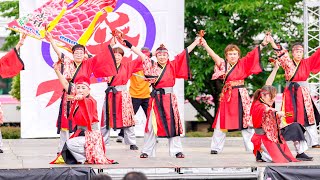 [4K] 岩倉鳴子おどりの会 五条川桜　犬山踊芸祭 2024 日曜日 (中央)