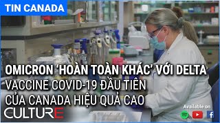 🔴TIN CANADA 08/12 | Ontario ngừng mở cửa thêm do COVID tồi tệ, Thuốc GSK-Vir chống đột biến Omicron