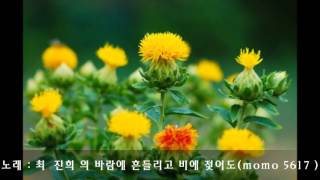 최  진희 - 바람에 흔들리고 비에 젖어도