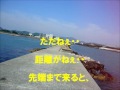 姫路の有名釣場ポイント［十三段波止］　enjoy the japanese fishing