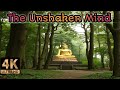 Buddha Inspired Story|Motivational Speech for Success|English #inspireforlife