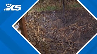 12 suspicious fires set in Kitsap County