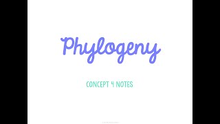 Unit 6 Evolution Concept 4 Notes *UPDATED*