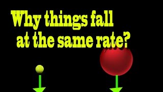 Why things fall at same rate ?|Curiousminds97