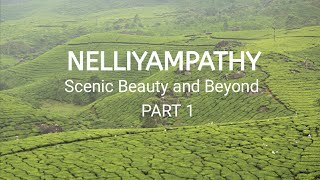 Nelliyampathy Trip Tips| Seetharkundu Viewpoint|Poabs Estate and Pothundi Dam പോയപ്പോൾ|Part 1