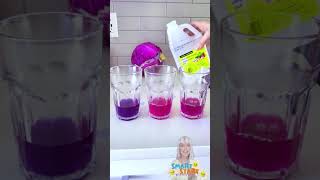 Color Changing Cabbage Science Experiment! | Miss Daisy’s Magic Potion Lab 🧪🌈