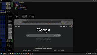 bFD: picoCTF buffer overflow 3