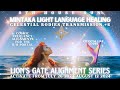 Lion's Gate 888 Portal Activation Series✨2: Mintaka Light Language Healing Crystalline Codes ✧Orion✧